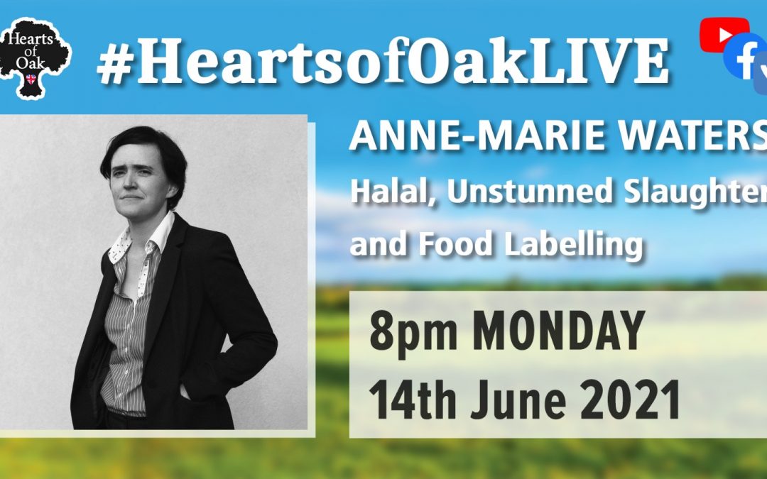 Anne-Marie Waters: Halal, Unstunned Slaughter and Food Labelling