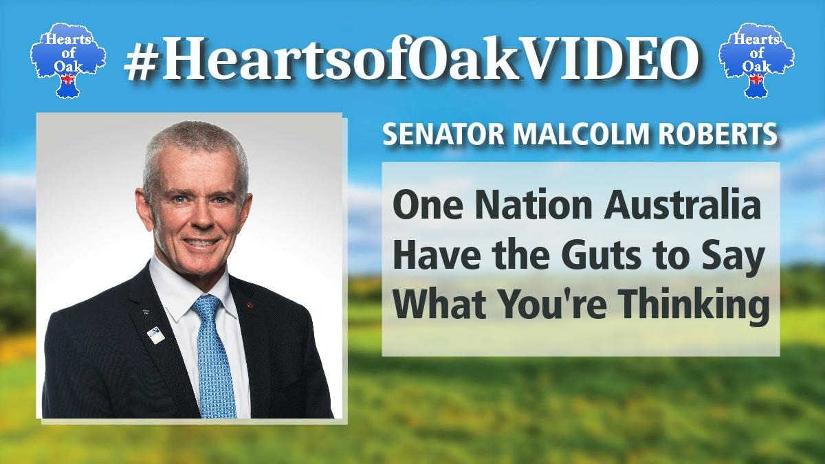 Senator Malcolm Roberts - One Nation Australia Have the Guts to Say What You're Thinking
